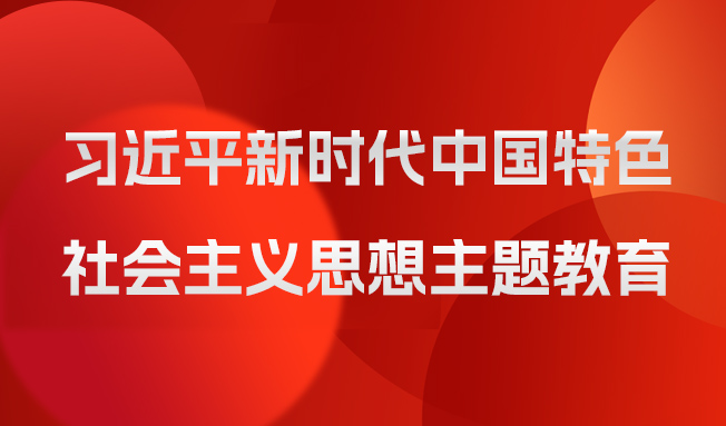 习近平新时代中国特色社会主义思想主题教育